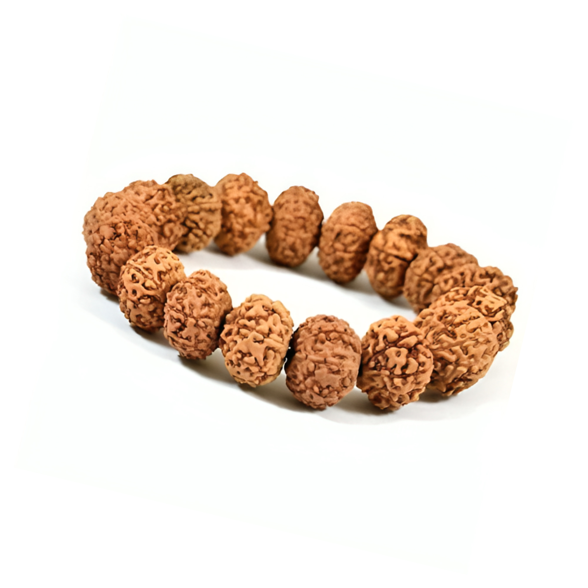 9 Mukhi Rudraksha Bracelet