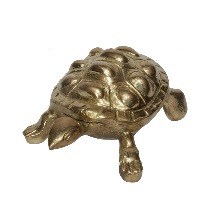 Brass Tortoise