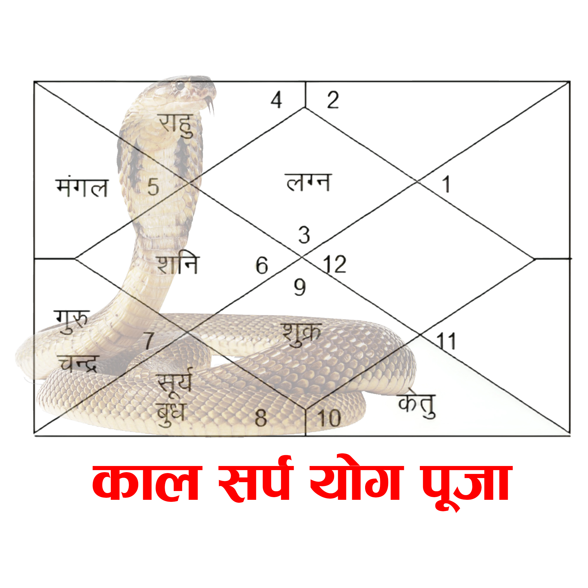 Kaal Sarpa Yog Puja